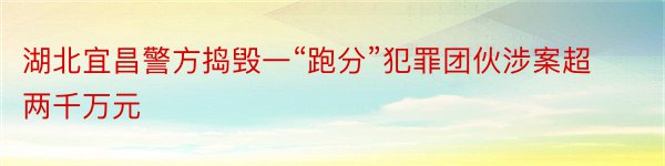 湖北宜昌警方捣毁一“跑分”犯罪团伙涉案超两千万元