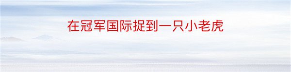 在冠军国际捉到一只小老虎