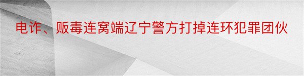 电诈、贩毒连窝端辽宁警方打掉连环犯罪团伙